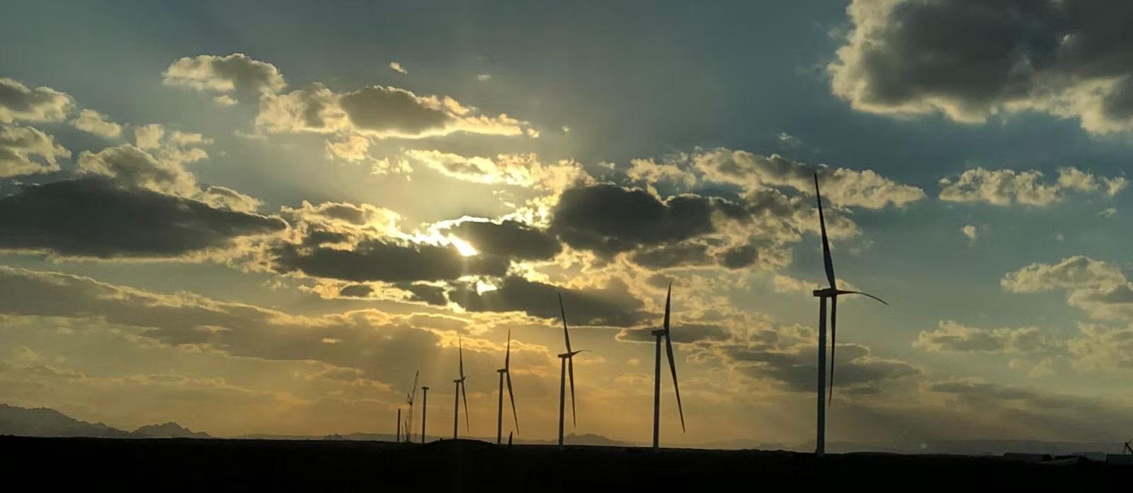 Wind turbines in the Gulf of Suez desert